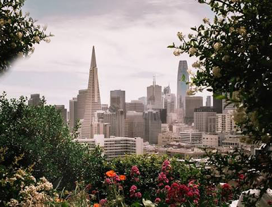 Russian Hill Summit View